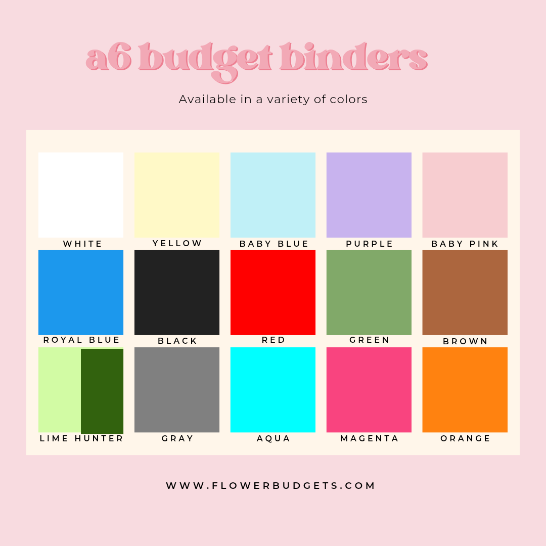 A6 Budget Binder (6 pack)