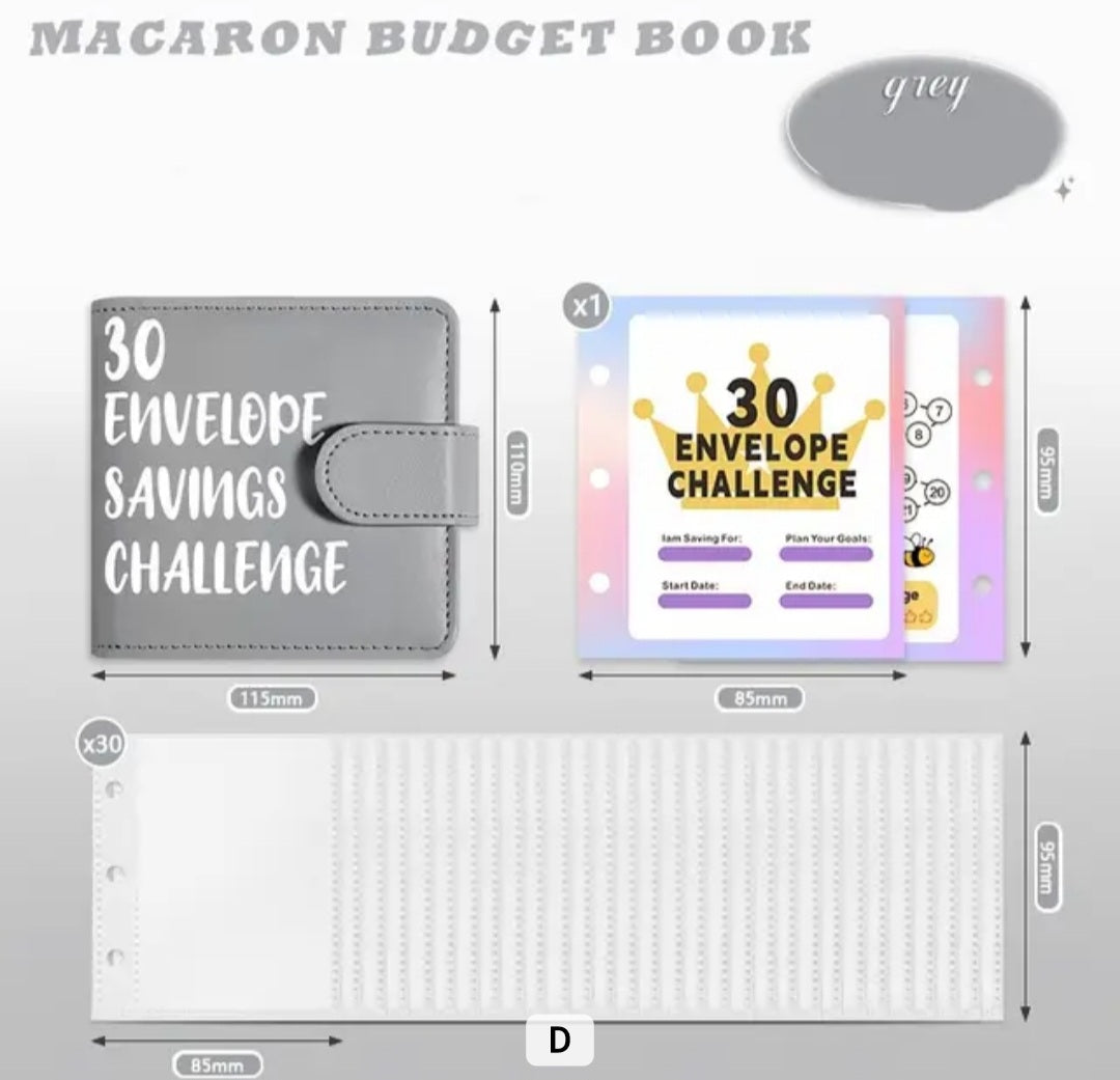 Mini 30 Envelope Savings Challenge in Grey