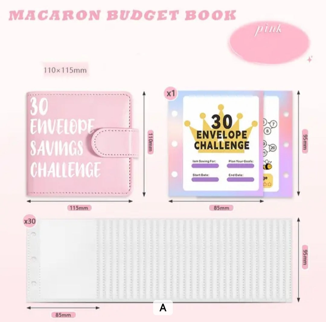 Mini 30 Envelope Savings Challenge in Pink