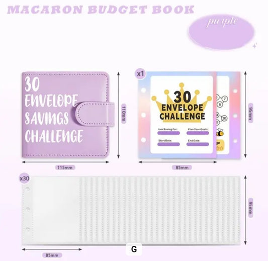 Mini 30 Envelope Savings Challenge in Purple